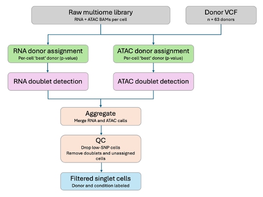 Figure 1. Genotype-based demultiplexing pipeline