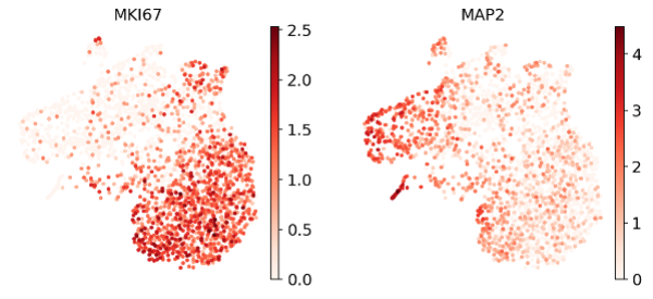 Figure 2. Gene expression UMAPs