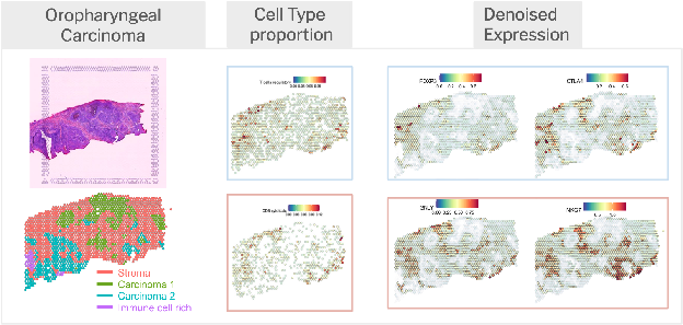 Tumor microenvironment spatial deconvolution